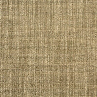 Charlotte Fabrics 5376 Wheat