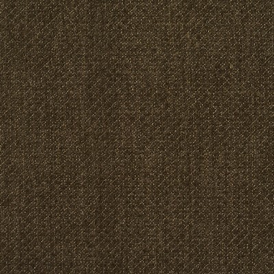 Charlotte Fabrics 5595 Spruce