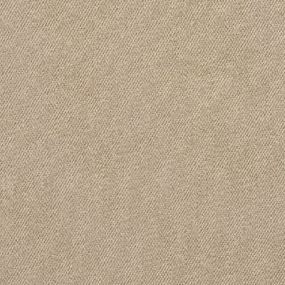 Charlotte Fabrics 5678 Linen