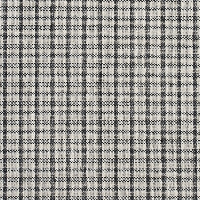 Charlotte Fabrics 5810 Sterling Check