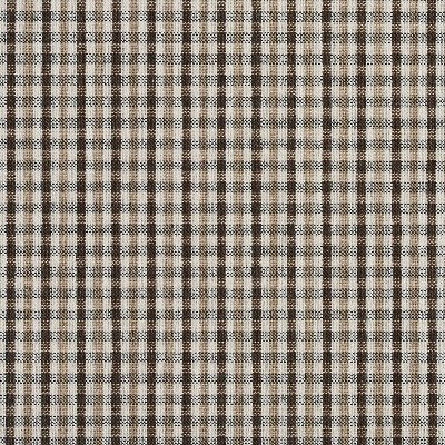 Charlotte Fabrics 5812 Desert Check