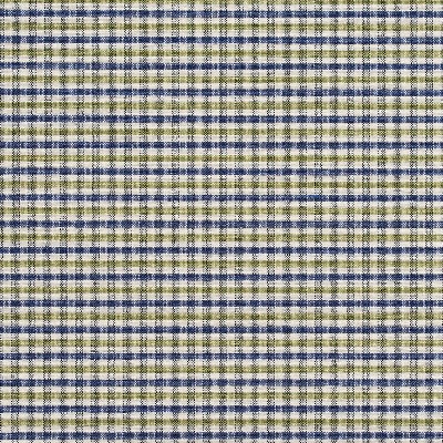 Charlotte Fabrics 5813 Laguna Check