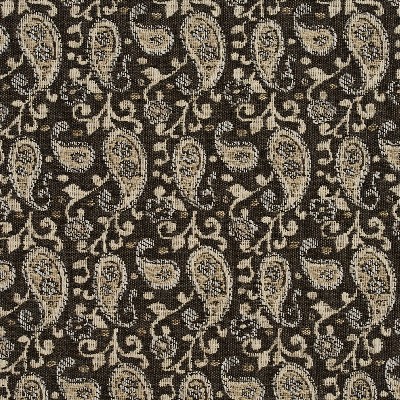 Charlotte Fabrics 5842 Desert Paisley