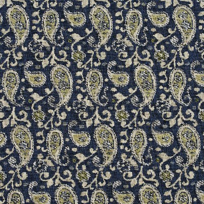 Charlotte Fabrics 5843 Laguna Paisley