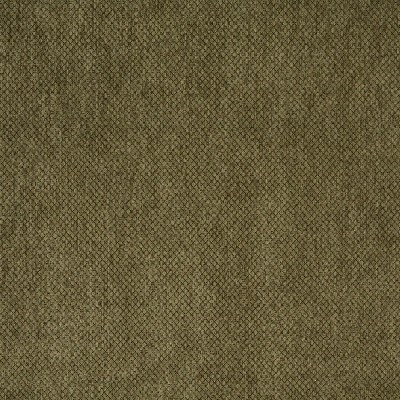 Charlotte Fabrics 6496 Cypress