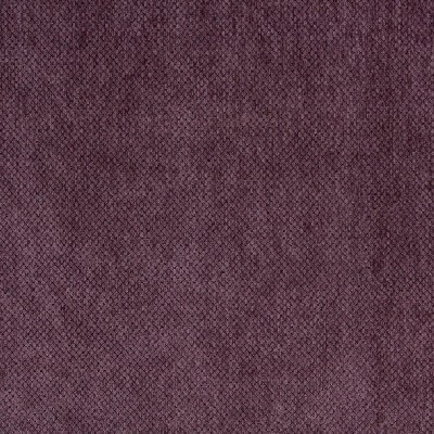 Charlotte Fabrics 6498 Grape