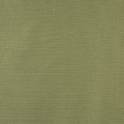 Charlotte Fabrics 6618 Fern