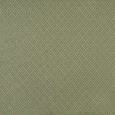 Charlotte Fabrics 6733 Ivy/Diamond