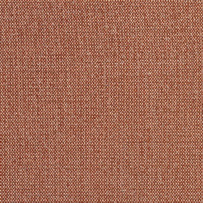 Charlotte Fabrics 6741 Spice/Dot