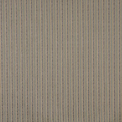 Charlotte Fabrics 6750 Denim/Stripe