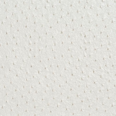 Charlotte Fabrics 7017 Pearl