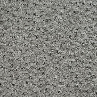 Charlotte Fabrics 7018 Pewter