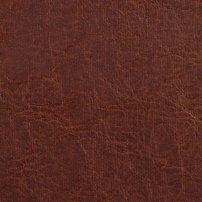Charlotte Fabrics 7050 Rawhide