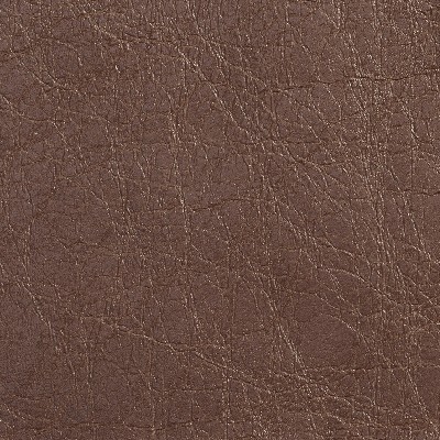 Charlotte Fabrics 7053 Canyon