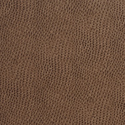 Charlotte Fabrics 7207 Cobblestone