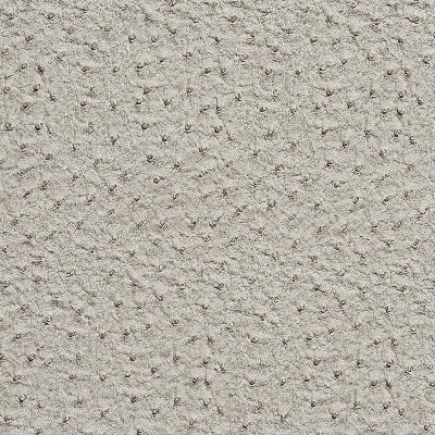 Charlotte Fabrics 7233 Fog