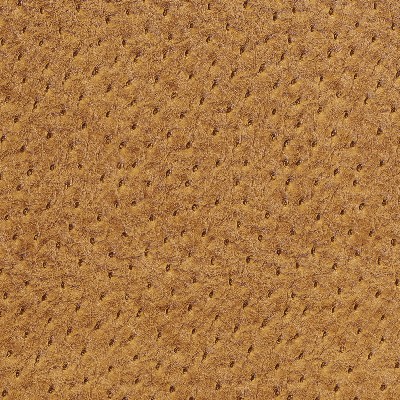 Charlotte Fabrics 7234 Wheat