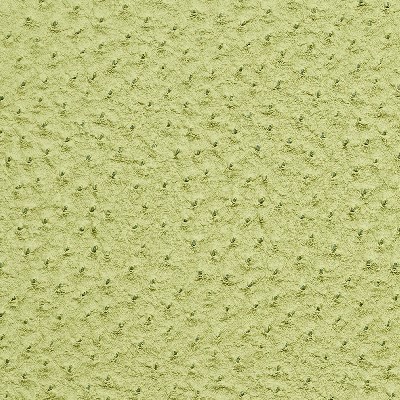 Charlotte Fabrics 7269 Lime