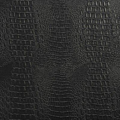 Charlotte Fabrics 7283 Ebony