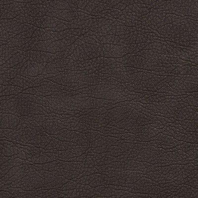 Charlotte Fabrics 7410 Espresso
