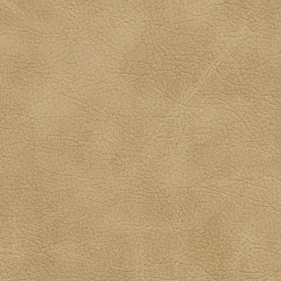 Charlotte Fabrics 7411 Sand