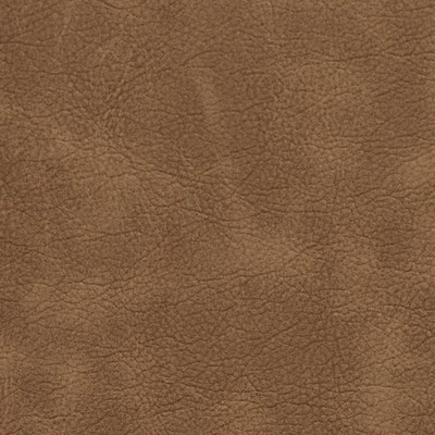 Charlotte Fabrics 7415 Latte