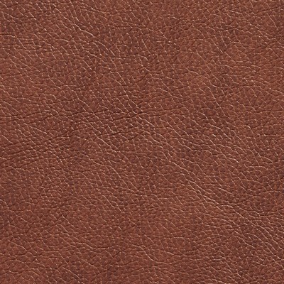 Charlotte Fabrics 7425 Saddle