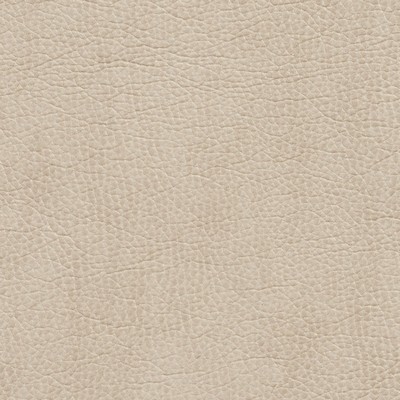Charlotte Fabrics 7426 Bone