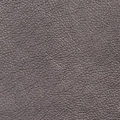 Charlotte Fabrics 7428 Pewter