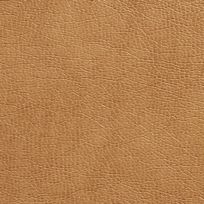 Charlotte Fabrics 7430 Cashew