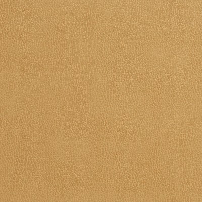 Charlotte Fabrics 7554 Camel