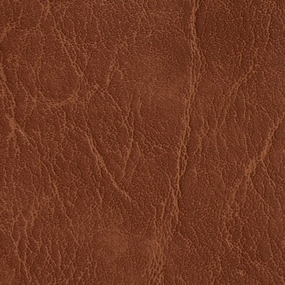 Charlotte Fabrics 7613 Pecan