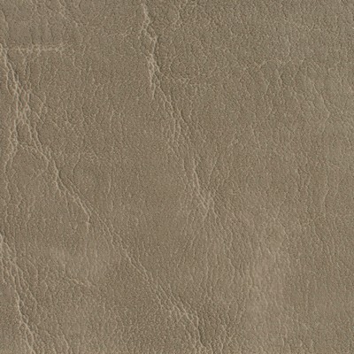 Charlotte Fabrics 7620 Taupe