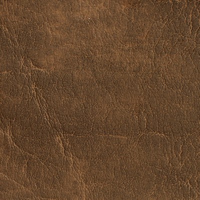 Charlotte Fabrics 7623 Saddle
