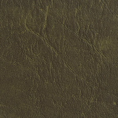 Charlotte Fabrics 7624 Moss
