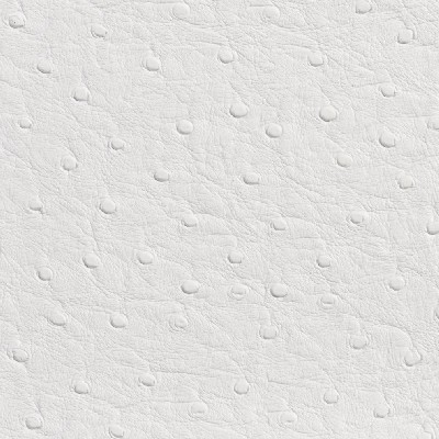Charlotte Fabrics 7700 White