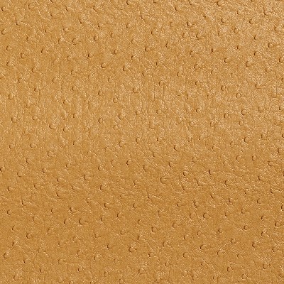 Charlotte Fabrics 7705 Camel