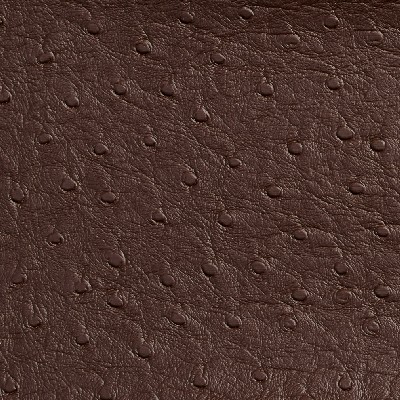 Charlotte Fabrics 7706 Espresso