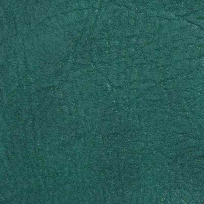 Charlotte Fabrics 7748 Cedar