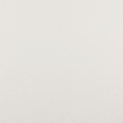 Charlotte Fabrics 7752 Bone