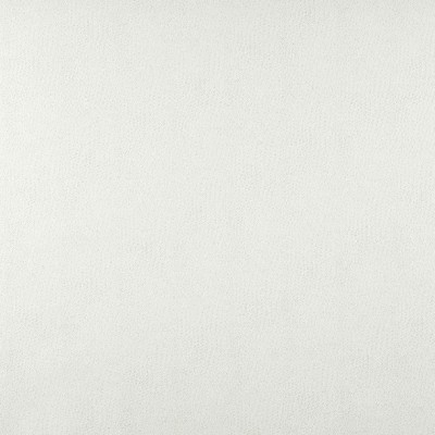 Charlotte Fabrics 7876 Natural