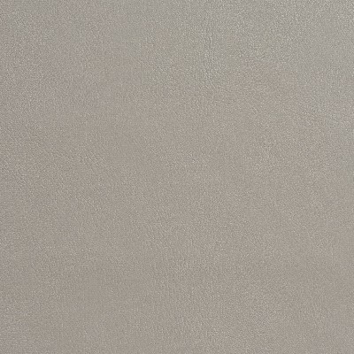 Charlotte Fabrics 7908 Silver Grey