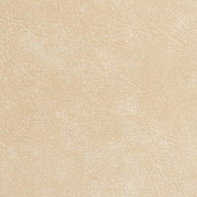 Charlotte Fabrics 7949 Seashell