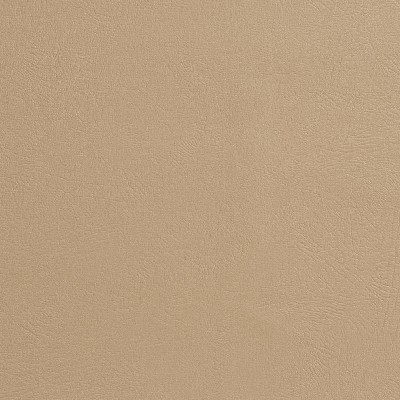 Charlotte Fabrics 7961 Sandstone