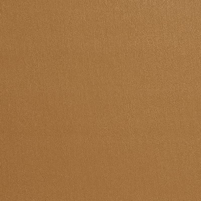 Charlotte Fabrics 7969 Buckskin