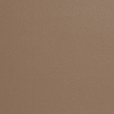 Charlotte Fabrics 7979 Bark