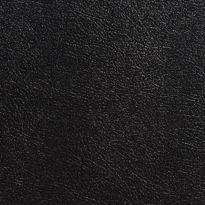 Charlotte Fabrics 7982 Coal
