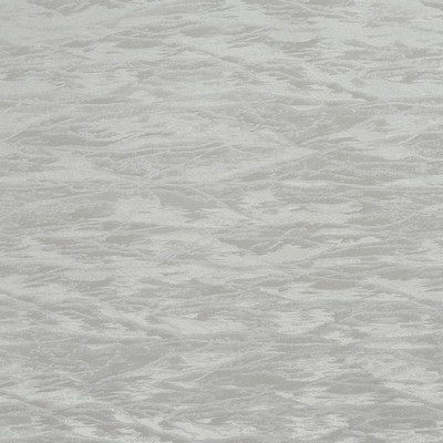 Charlotte Fabrics 8013 Silver Silver