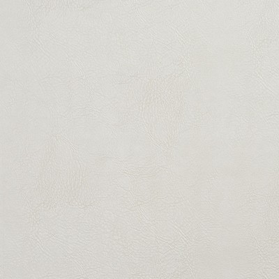 Charlotte Fabrics 8021 Oyster Oyster