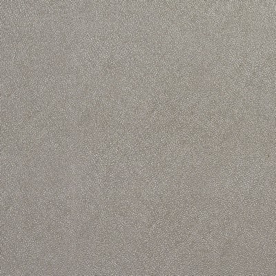 Charlotte Fabrics 8028 Platinum Platinum